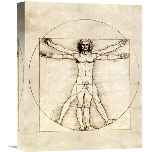Global Gallery 'Proportions of the Human Figure (Vitruvian Man)' by Leonardo Da Vinci Graphic ...